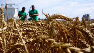 Асен Василев: В страната има достатъчно зърно