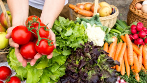 Започна отчитането на добивите от първите зеленчукови реколти у нас - Agri.bg