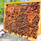 Пчелни рамки с пило и пчели - Агро Борса