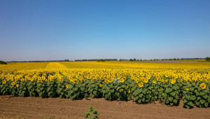 „Ден на полето“ ще събере агробизнеса в Добруджа