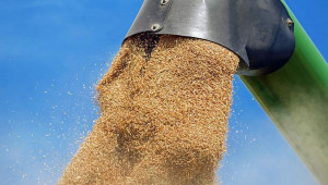 Очаква се рекордна реколта от руска пшеница