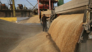 Експерт: Турция изкупува бясно зърно. В момента тече презапасяване - Agri.bg