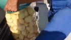 Продавам пресни картофи Ривиера и Кариера - Снимка 3