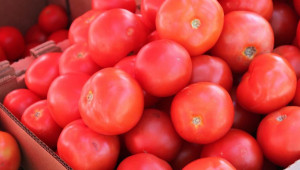 Антикорупционната комисия ще проверява защо са съмнително евтини вносните домати