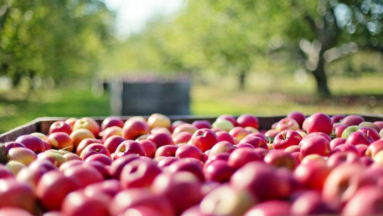 Агроиновации: За конкурентно производство на плодове в ЕС
