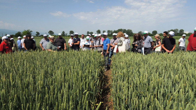 Денят на фермера в Садово: Нови сортове зърно и пръскане с дрон