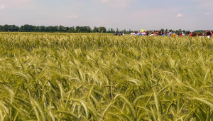 Ден на отворени врати: Добруджанския земеделски институт ще представи 56 сорта и хибрида - Agri.bg