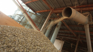 Фючърсни сделки: Как ще се котират пшеница, царевица и рапица?