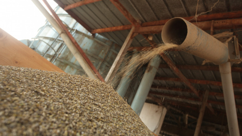 Фючърсни сделки: Как ще се котират пшеница, царевица и рапица?