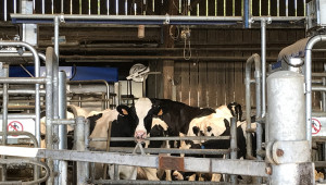 Как го правят: Експериментална ферма в Дервал във Франция - Снимка 3