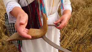 Автентични български носии оживяват в обичая „Бяла жътва“