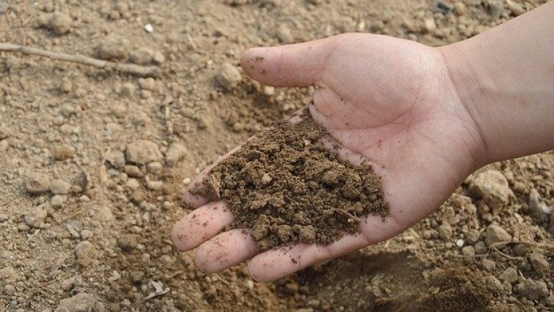 10 съвета как да увеличим хумуса в почвата