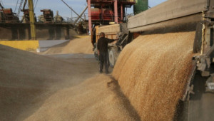 България подкрепя освобождаването на търговията с агростоки от ограничения върху износа и вноса - Agri.bg