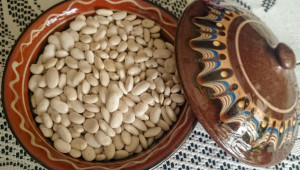 Положителна тенденция: Расте интересът към бобовите култури в Добруджа - Снимка 3