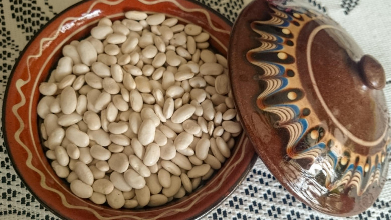Положителна тенденция: Расте интересът към бобовите култури в Добруджа