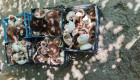Печурка Ливадна - Снимка 1