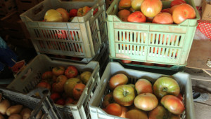 Молдовски домати и ябълки се очаква да наводнят пазара