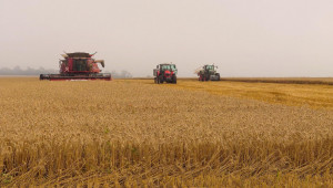 Старт на жътвата: Министерството очаква около 6 млн. тона пшеница тази година