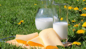Какви са изискванията за млечни и месни продукти по Наредбата за директни доставки