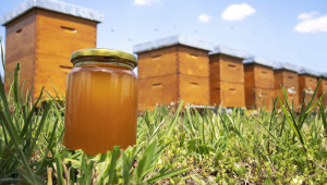 Вижте новите изисквания за продажбата на пчелен мед за консумация