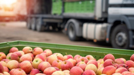 България ще постави пред ЕС въпроса с квотите на плодове от трети страни - Agri.bg