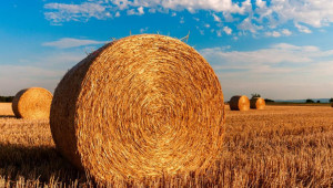 Прогнозата за юли: Какво време да очакват земеделците?