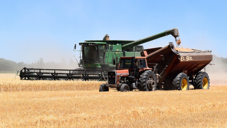 Първи официални данни за средните добиви от пшеницата у нас