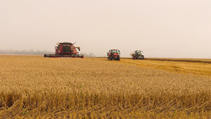 Зърнопроизводител: Добивите са с 20-30% по-ниски от миналогодишните