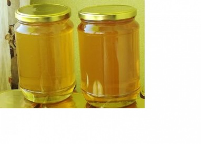 Пчелен мед от акация и от липа - Снимка 1