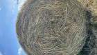 Рулонни бали люцерна  100% чиста 2-ри откос - Снимка 1