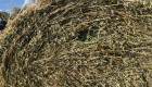 Рулонни бали люцерна  100% чиста 2-ри откос - Снимка 3