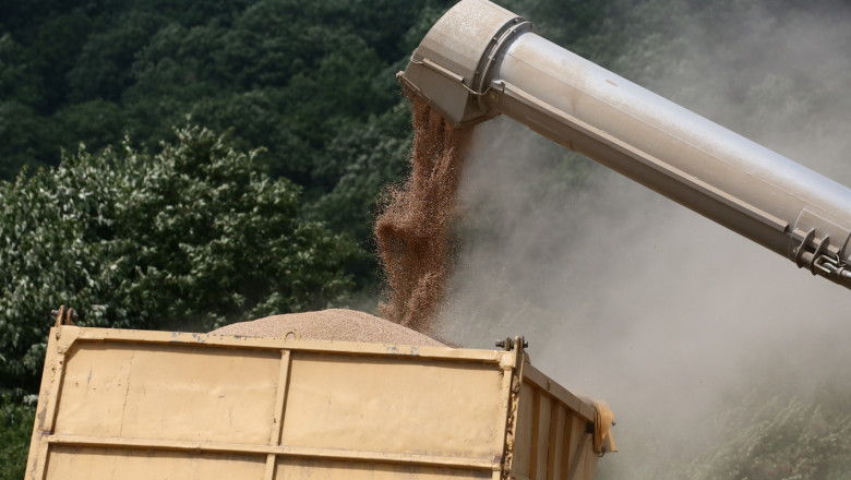 Борси: Цените на зърното продължават да се сриват