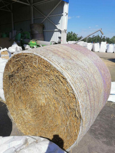 Ечемични и пшенични бали слама - Снимка 1