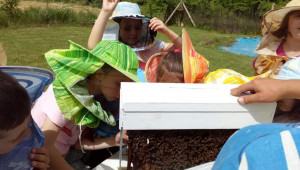 Пчеларска семейна ферма в Шуменско намира прекия път към клиента - Снимка 4