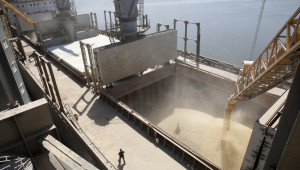 Борси: Сделката за износ на зърно в Черно море охлади цените