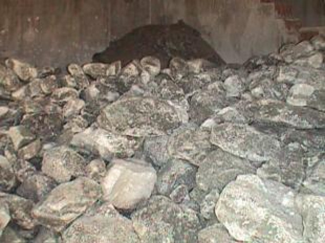 Каменна сол 450 лв./тон в село Дичин, В.Търновско - Снимка 1