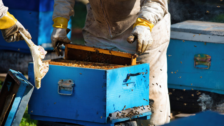 ДФЗ отговаря: Може ли да се подаде заявление за отказ по Пчеларската програма?