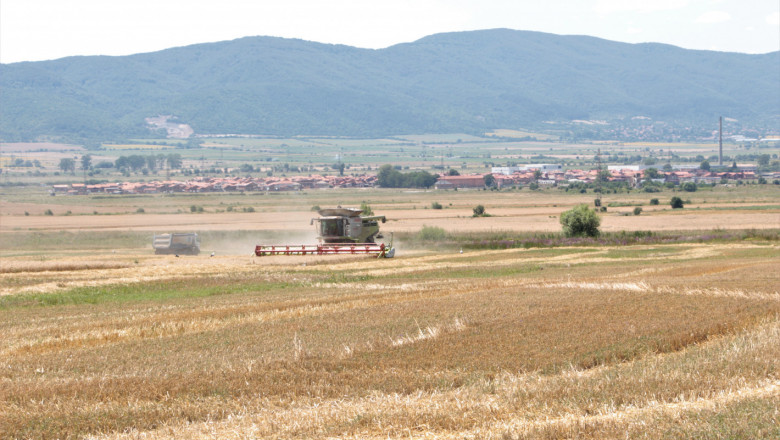 Актуални данни за средните добиви от пшеница по места