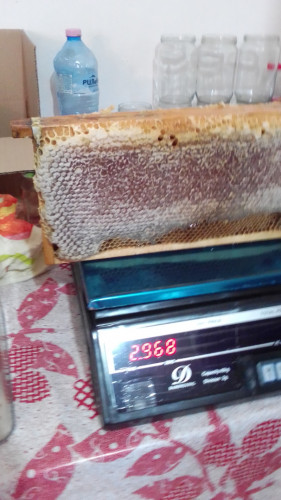 Продавам пчелен мед - Снимка 3