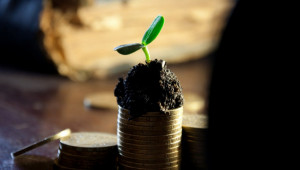 Увеличиха бюджета по схемата за инвестиции в растениевъдството - Agri.bg