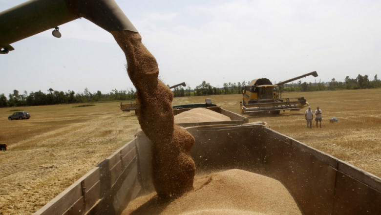 Официални данни: Средният добив при пшеницата на места е над миналогодишния
