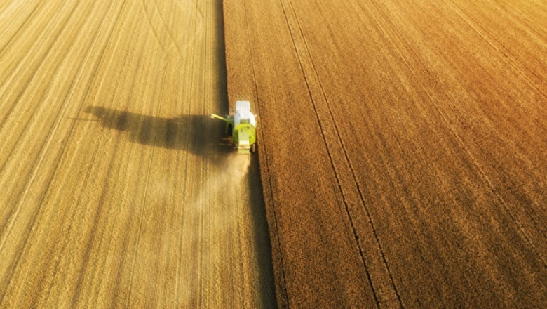 Зърнени и маслодайни култури: Как се изменят реколтата и добивите за пет години