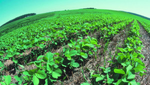 Стопанства могат да получат финансиране за регенеративно земеделие - Agri.bg