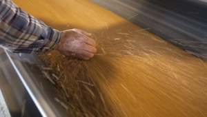 Първи износ на украинска хлебна пшеница по сделката на ООН