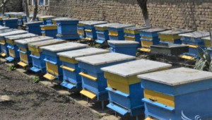 Пчелари се събират на национална среща в Беклемето - Agri.bg