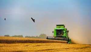 Борси: Пшеницата поевтиня навсякъде, украинската се срина със 100 долара