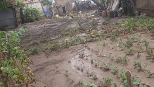 Фермер от Силистренско: На полето е трагедия след проливния дъжд - Снимка 2