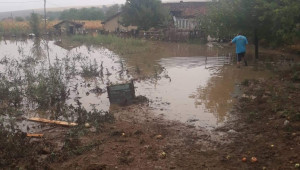 Фермер от Силистренско: На полето е трагедия след проливния дъжд