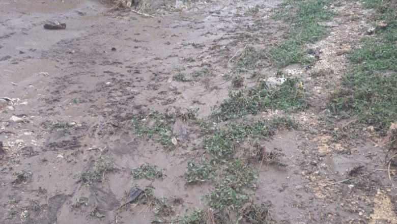 Фермер от Силистренско: На полето е трагедия след проливния дъжд