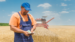 Дават пари на албанските фермери за пшеница